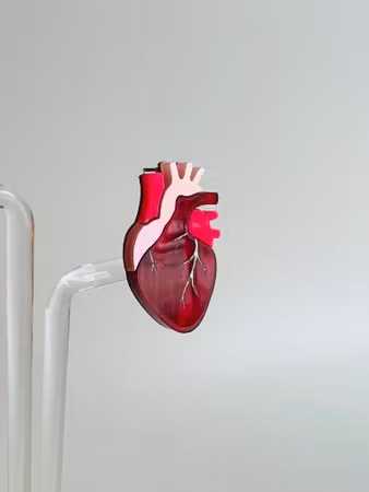 My happy heart - hårspänne