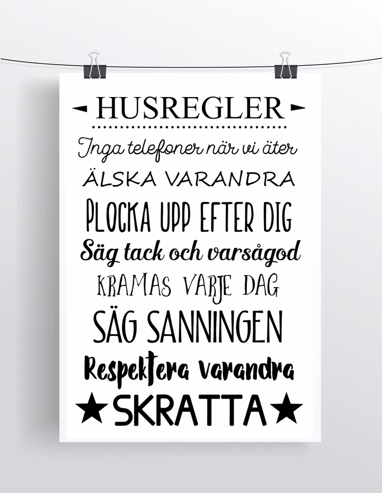 Husregler (version 2)