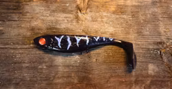 Shady Shad 20cm 90g Purple Tiger