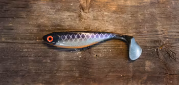 Shady Shad 20cm 90g Zikn