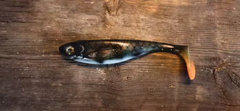 Shady Shad 20cm 90g Borr´n