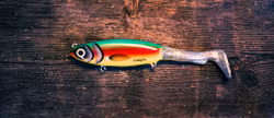 Holger Tailen 13cm (23cm med tail) Paskajänkää Parrot