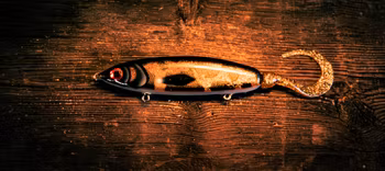 Tornedals Tailen 150g 16cm (32cm) Motoroil Gösen