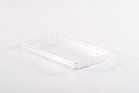 TAG TPU Slab Guard 003