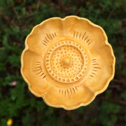 Dalia