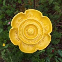 Smörblomma