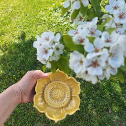 Citrongul