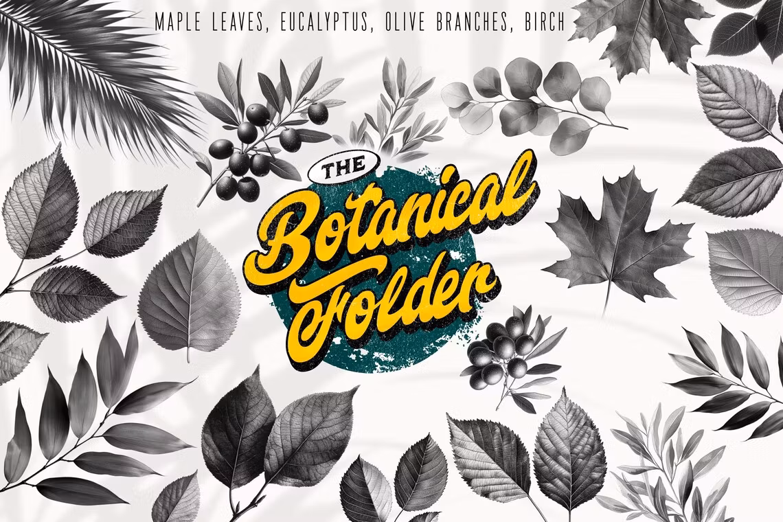 The Botanical Folder XL, 3000+, 100% Custom Art, Procreate brushes, png files, svg files, flowers, nature, foliage, mushrooms, leaves