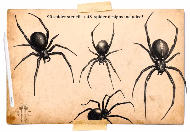 Artist Reference Library ~ Spider references, original art for Procreate, artistic references, 100 spiders png, svg & Procreate