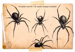 Artist Reference Library ~ Spider references, original art for Procreate, artistic references, 100 spiders png, svg & Procreate