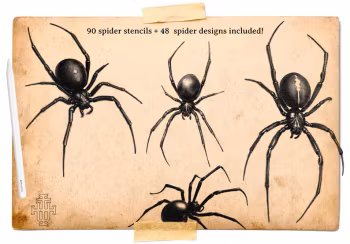 Artist Reference Library ~ Spider references, original art for Procreate, artistic references, 100 spiders png, svg & Procreate