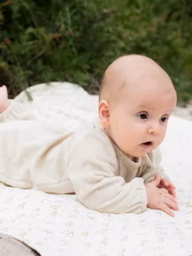 Serendipity Organics - Onesie Terry - Shell