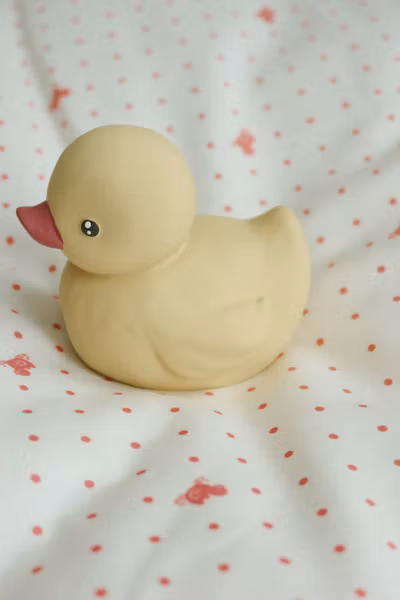 FANGA Fontana - Duck Bath Toy