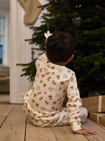 Lil'Atelier - Layo Night Set - Old Christmas