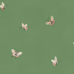 Butterflies 10449