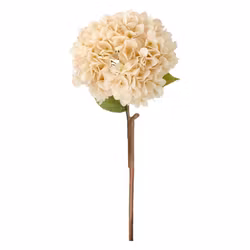 Konstblomma hortensia aprikos 84 cm
