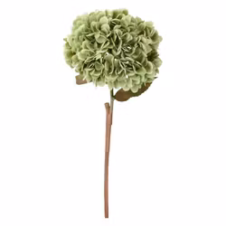 Konstblomma hortensia grön 84 cm