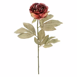 Konstblomma pion vinröd 71 cm