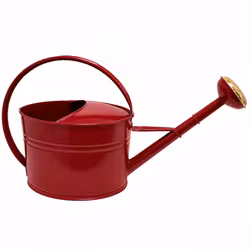 Vattenkanna röd 7 liter
