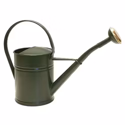 Vattenkanna mossgrön 2 liter