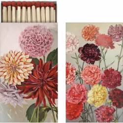 Tändstickor Dahlia