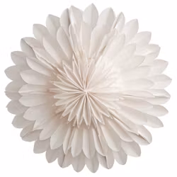 Adventsstjärna Lotus vit 44 cm Watt & Veke