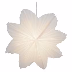 Adventsstjärna Daisy vit 60 cm Watt & Veke