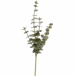 Konstkvist eukalyptus grön 59 cm