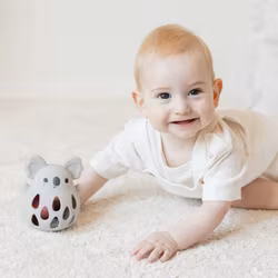 Skallra i silikon koala