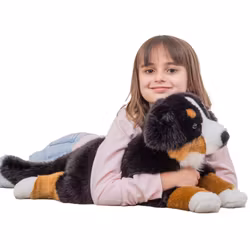 Hund Berner Sennen 60 cm Teddy Hermann