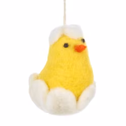 Ulldjur kyckling i ägg