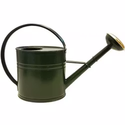 Vattenkanna mossgrön 4 liter