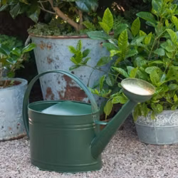 Vattenkanna mossgrön 7 liter