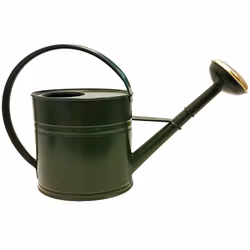 Vattenkanna mossgrön 4 liter