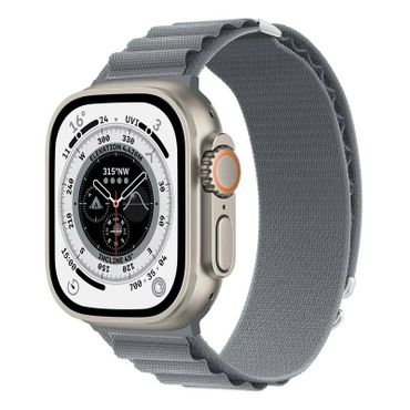 Alpine Loop Strap Grå