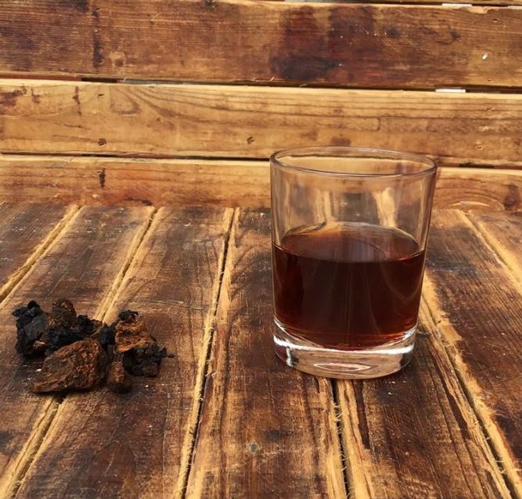 Chaga svamp - Sprängticka för Chaga te