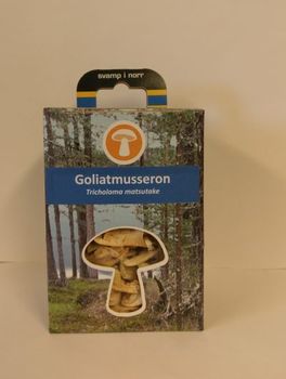 Svamp i Norr: Goliatmusseron