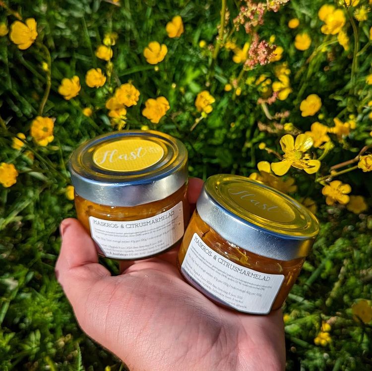 Hast bär & konfektyr: Dandelion jam
