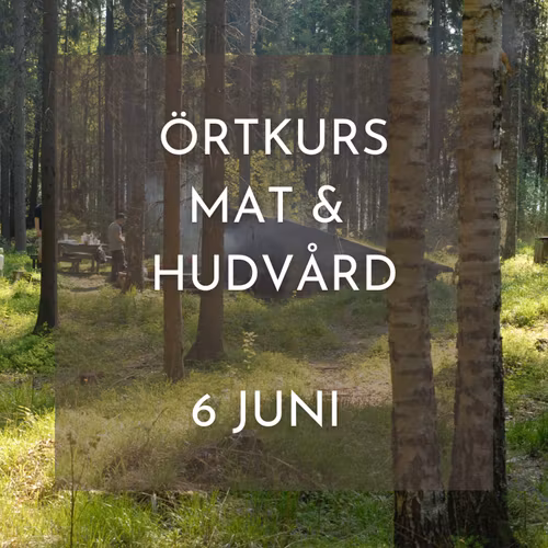 Kurs: Vilda örter i praktiken - från skog till mat, te och hudvård