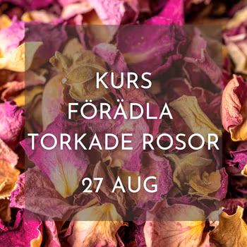 KURS: FÖRÄDLA TORKADE ROSOR, 27/8