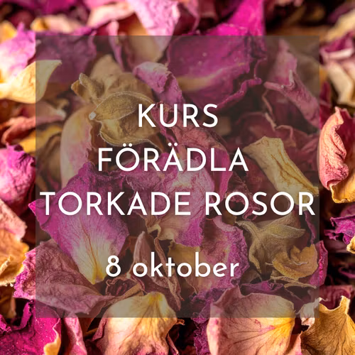 KURS: FÖRÄDLA TORKADE ROSOR