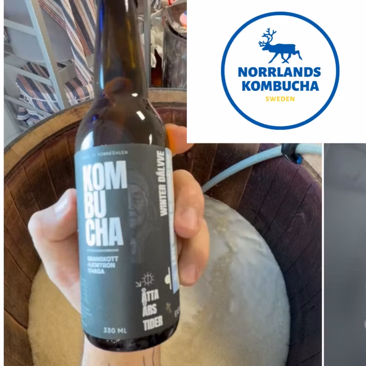 Åtta Årstider: Granskott, Hjortron, Chaga - Norrlands Kombucha