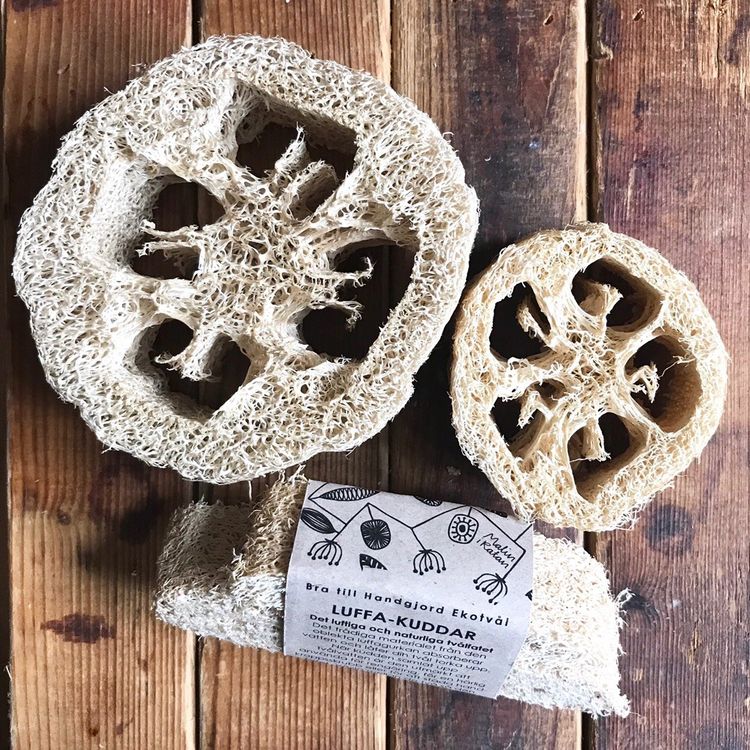 Loofah pillow 2-pack