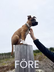 Foto korrigering
