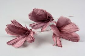 Fjäderblommor mörkrosa