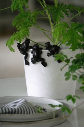 Grodor Kanthänge 3- Pack