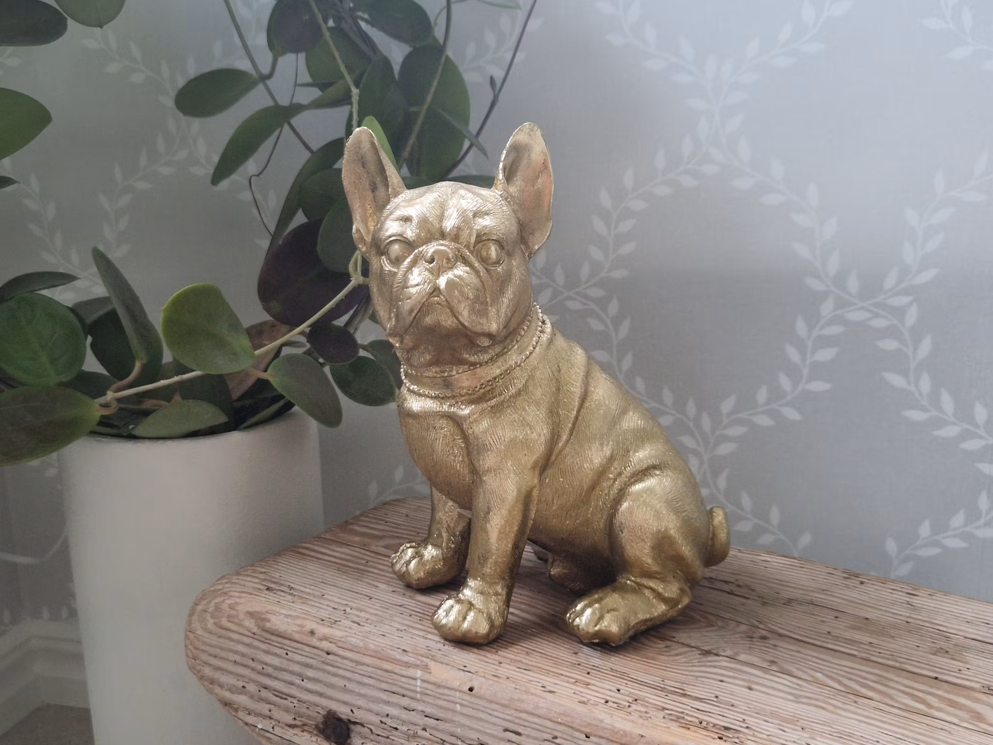 Bulldog - Mitt & Ditt