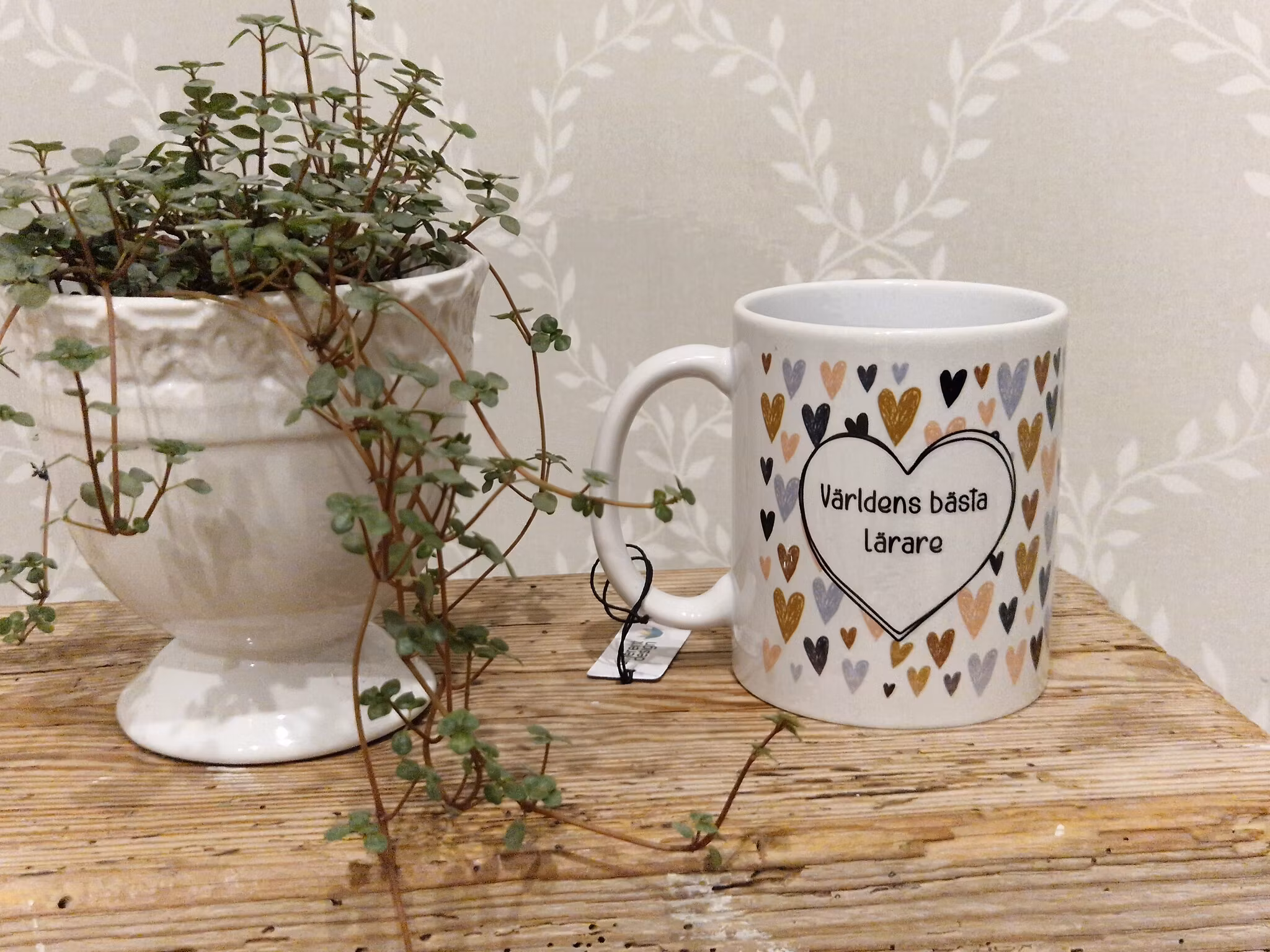 Mugg - Världens bästa lärare. Different design