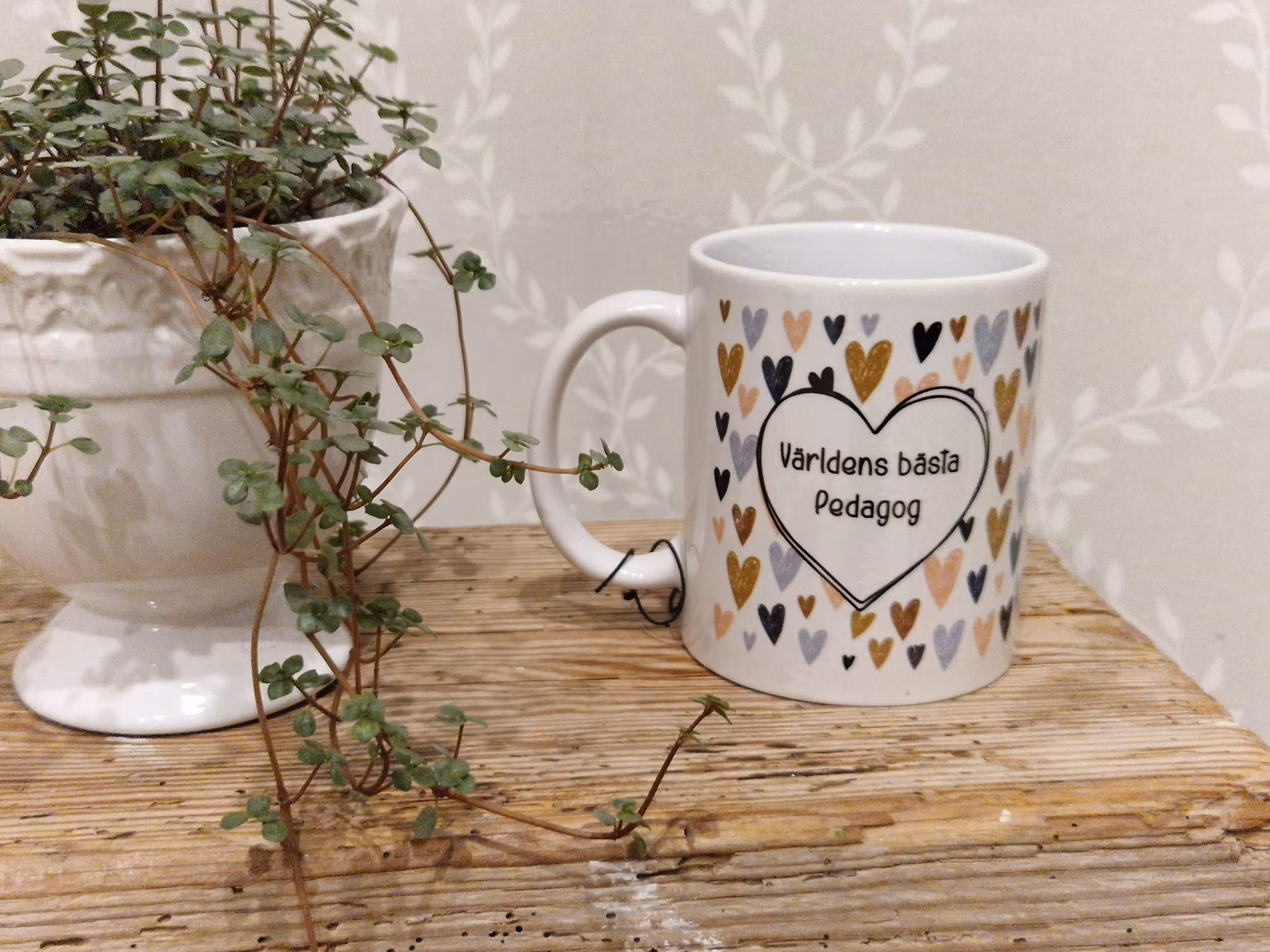 Mugg - Världens bästa Pedagog. Different design