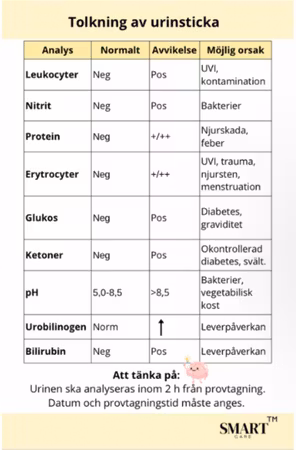 MIKTION & BLADDERSCAN